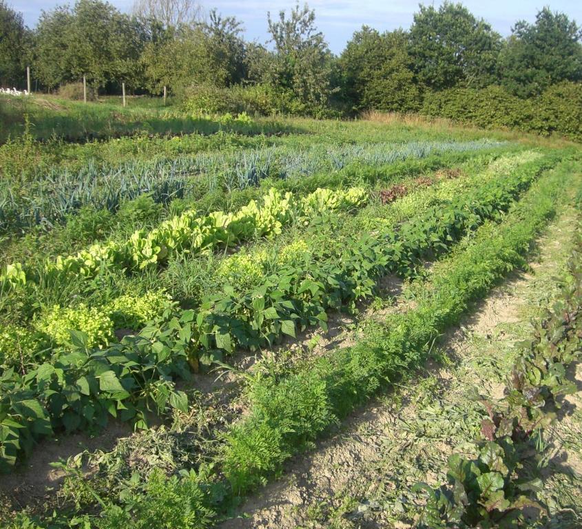 Gites De La Ferme Auberge De Mesauboin Billé Dış mekan fotoğraf