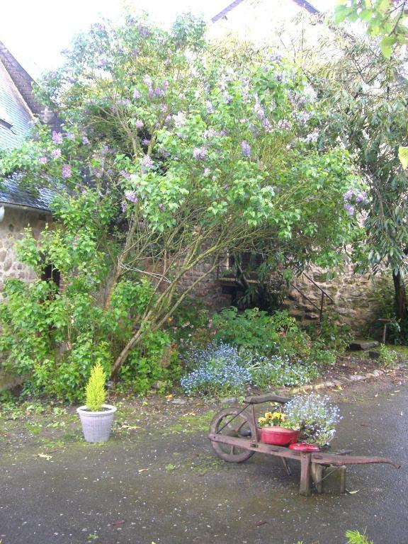 Gites De La Ferme Auberge De Mesauboin Billé Dış mekan fotoğraf